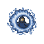 Mage